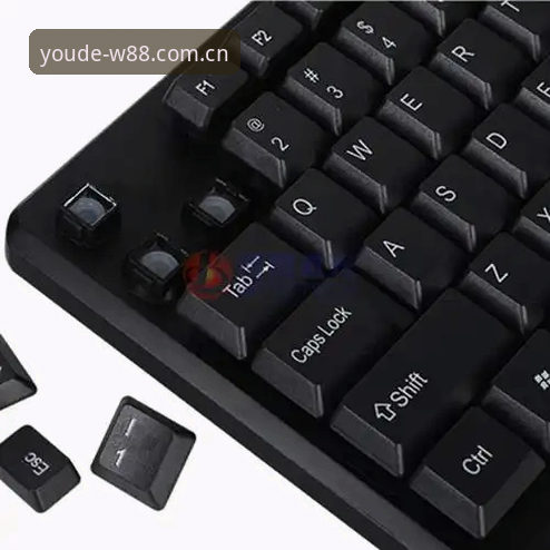 w88优德平台一站式体验深度评测：从下载到投注的完整流程解析